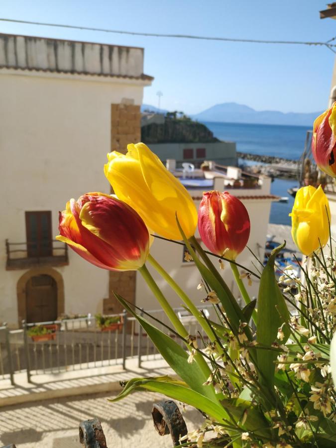 Summer Dream La Casa Sul Mare Apartment *