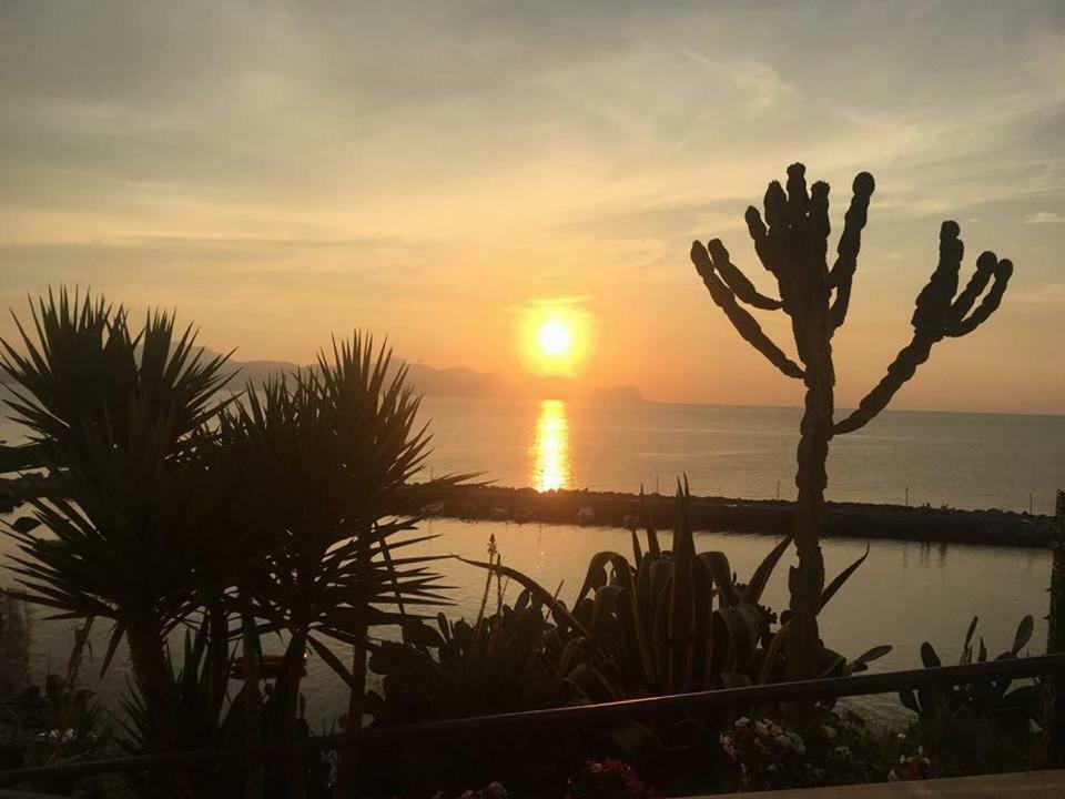 Summer Dream La Casa Sul Mare Apartment