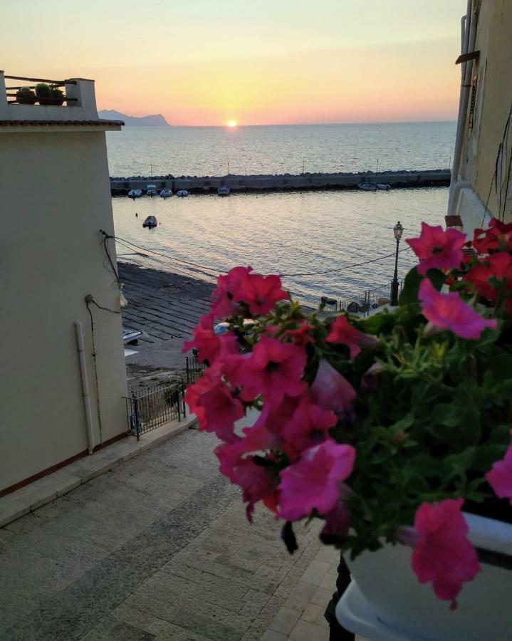 Summer Dream Trappeto (Sicily)